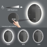 24x32 LED Lighted Oval Bathroom Vanity Mirror, Defogger
